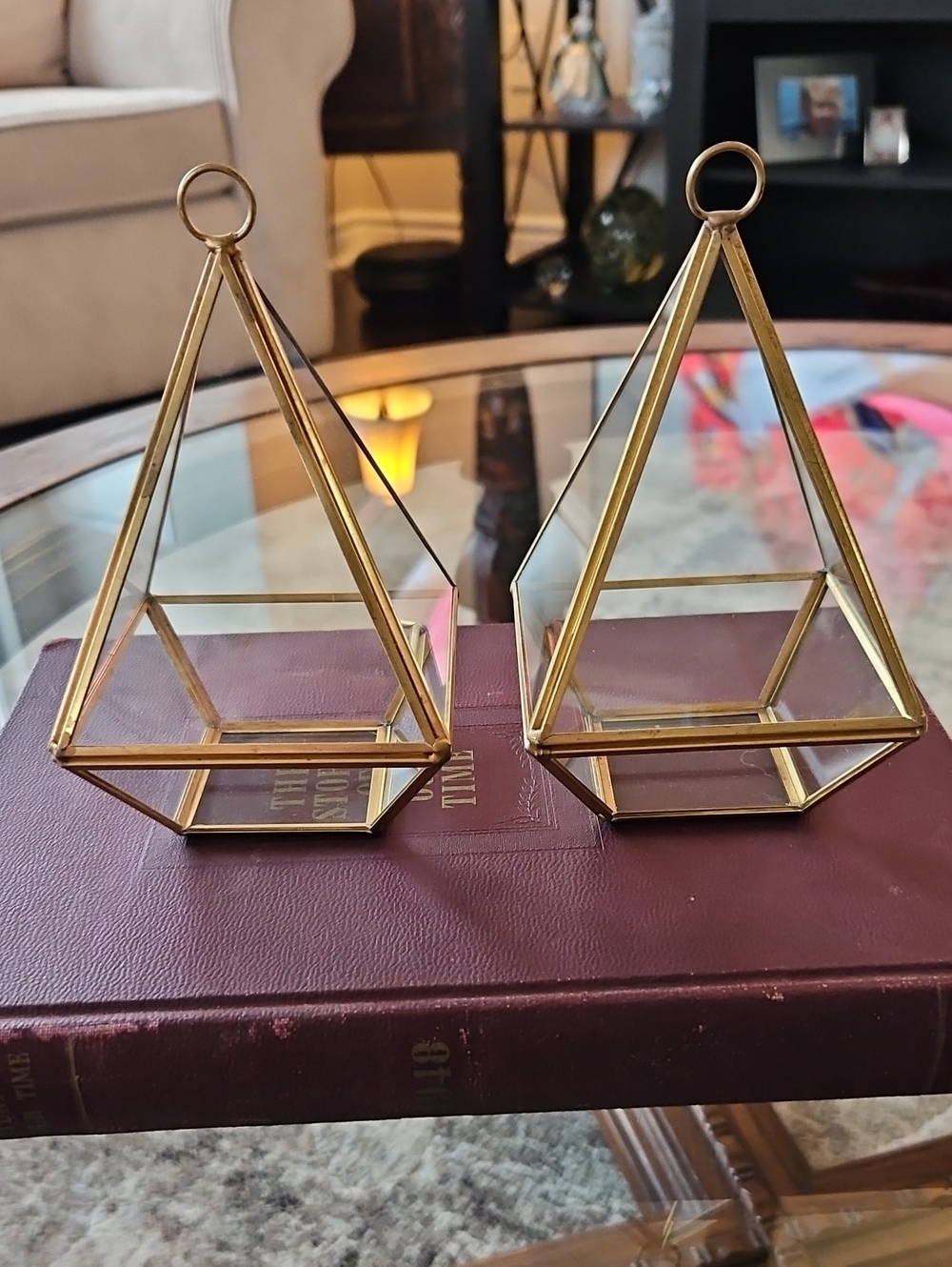 Gold Glass Geometric Terrarium Set - Home Accents